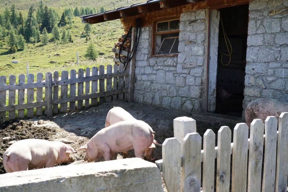 Tirol_2015_06-154