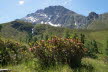 Tirol_2015_06-158