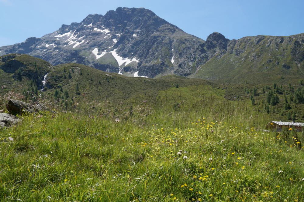 Tirol_2015_06-166