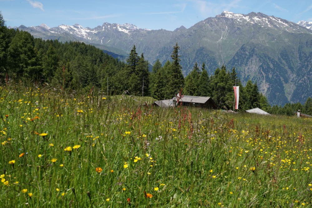 Tirol_2015_06-173