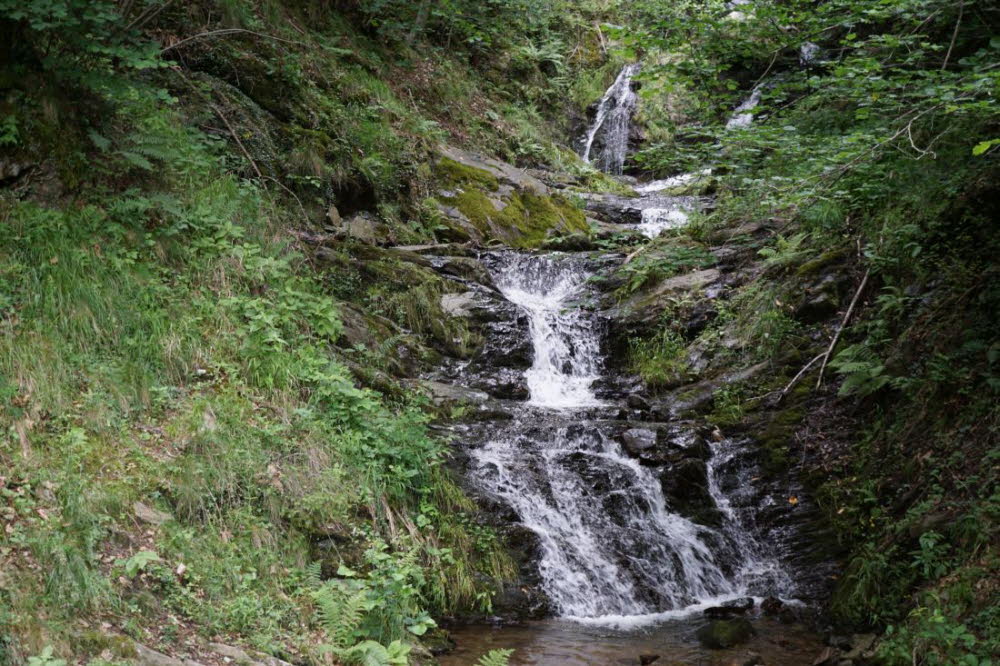 Tirol_2015_06-18