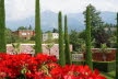Tirol_2015_06-195