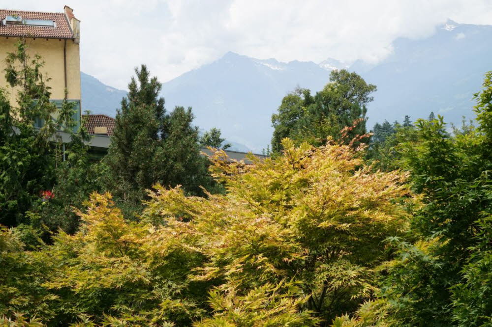 Tirol_2015_06-247