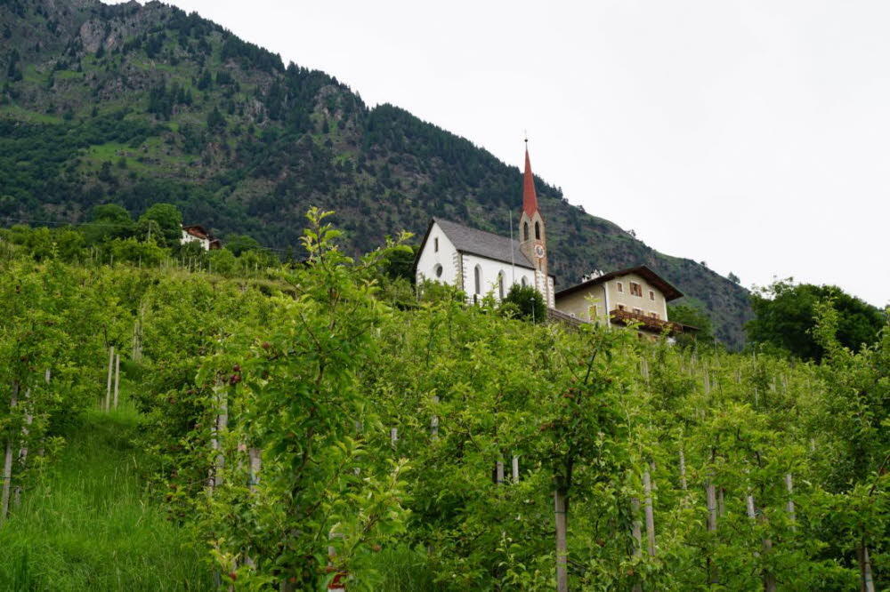 Tirol_2015_06-26