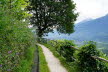 Tirol_2015_06-43