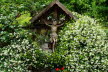 Tirol_2015_06-46