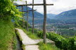 Tirol_2015_06-50