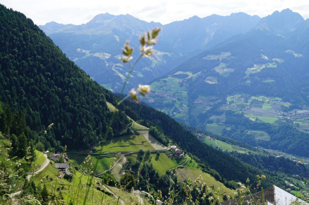 Tirol_2015_06-59