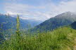 Tirol_2015_06-60