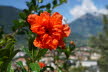 Tirol_2015_06-90