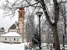 Voels_02_2018-007