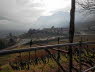 Voels_02_2018-012