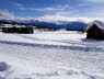 Voels_02_2018-020