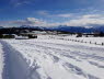 Voels_02_2018-021