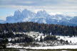 Voels_02_2018-027