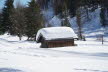 Voels_02_2018-041