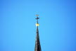 Voels_02_2018-058