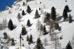 Voels_02_2018-075