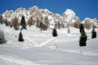 Voels_02_2018-113