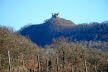 Voels_02_2018-150