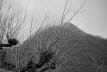 Voels_2016_02_007