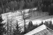 Voels_2017_02_051
