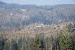 Voels_201903-10