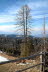 Voels_201903-13