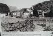 Voels_201903-130