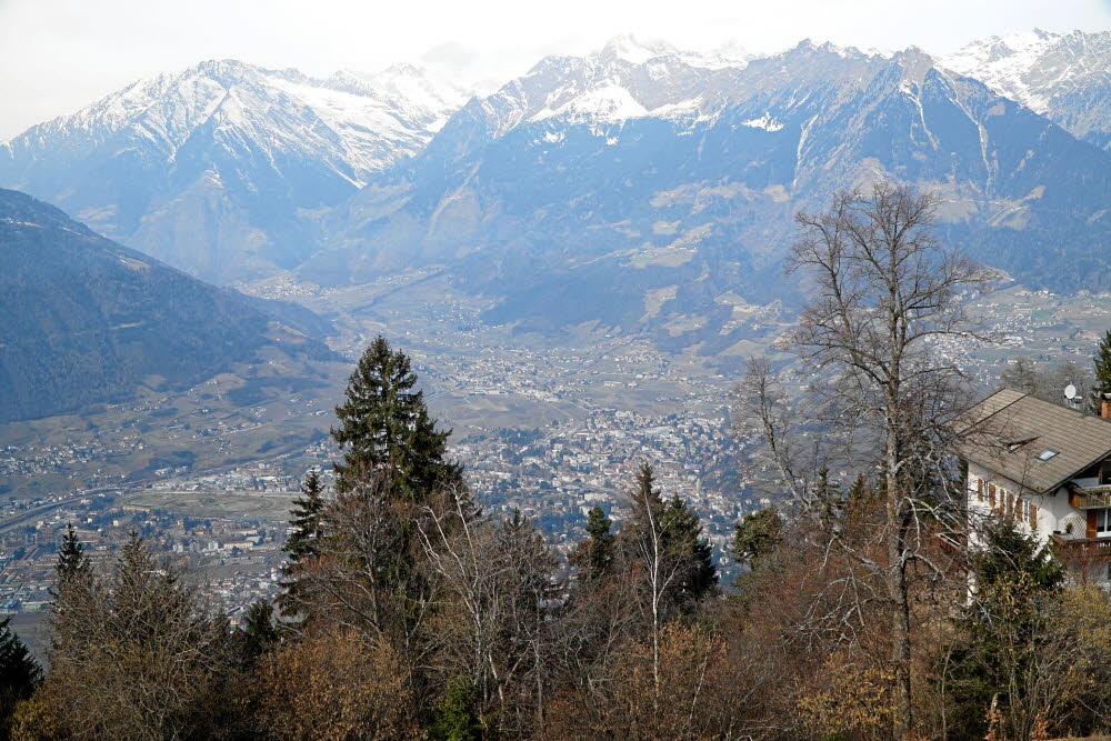 Voels_201903-133