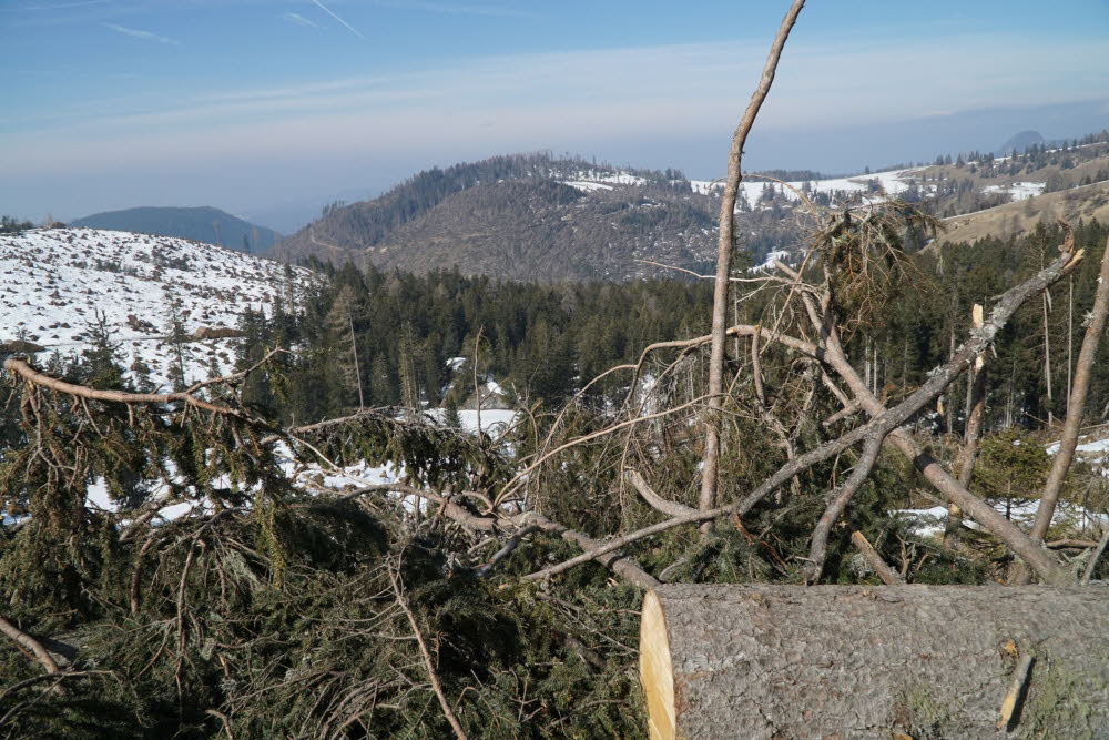 Voels_201903-18