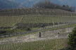 Voels_201903-188