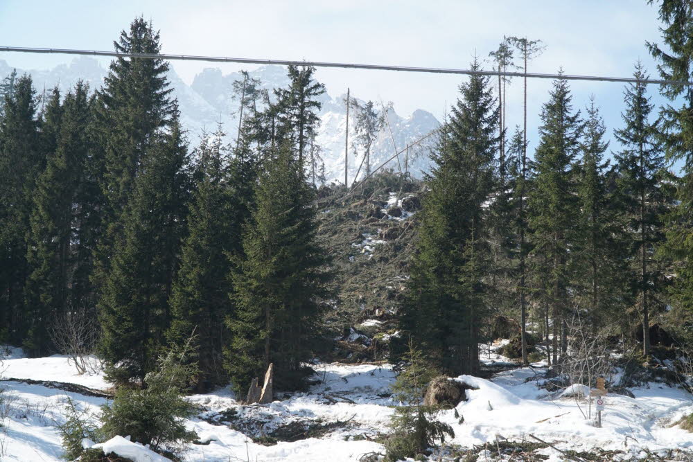Voels_201903-28