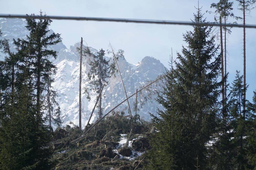 Voels_201903-29