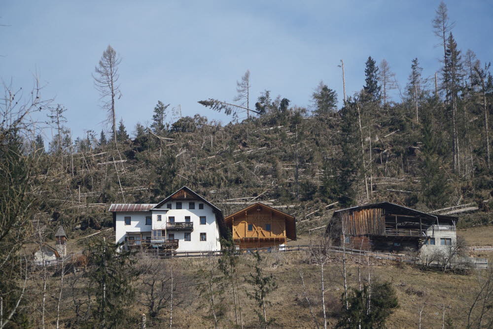 Voels_201903-33