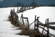 Voels_201903-41