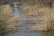 Voels_201903-57