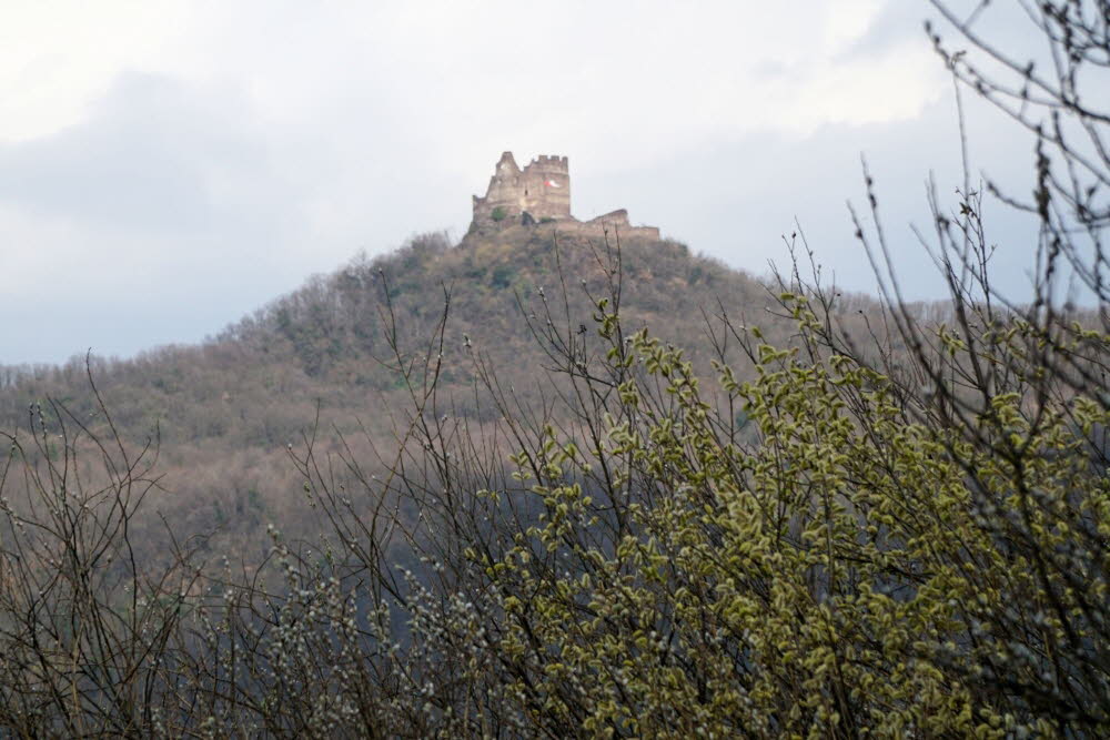 Voels_201903-62