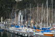 Voels_201903-72