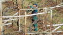 Vls_2012_02-0002