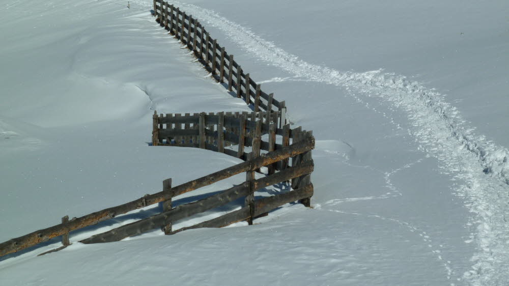 Vls_2012_02-0008