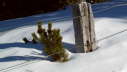 Vls_2012_02-0016