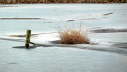 Vls_2012_02-0032