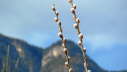 Vls_2012_02-0034