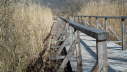 Vls_2012_02-0036