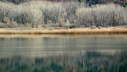 Vls_2012_02-0039