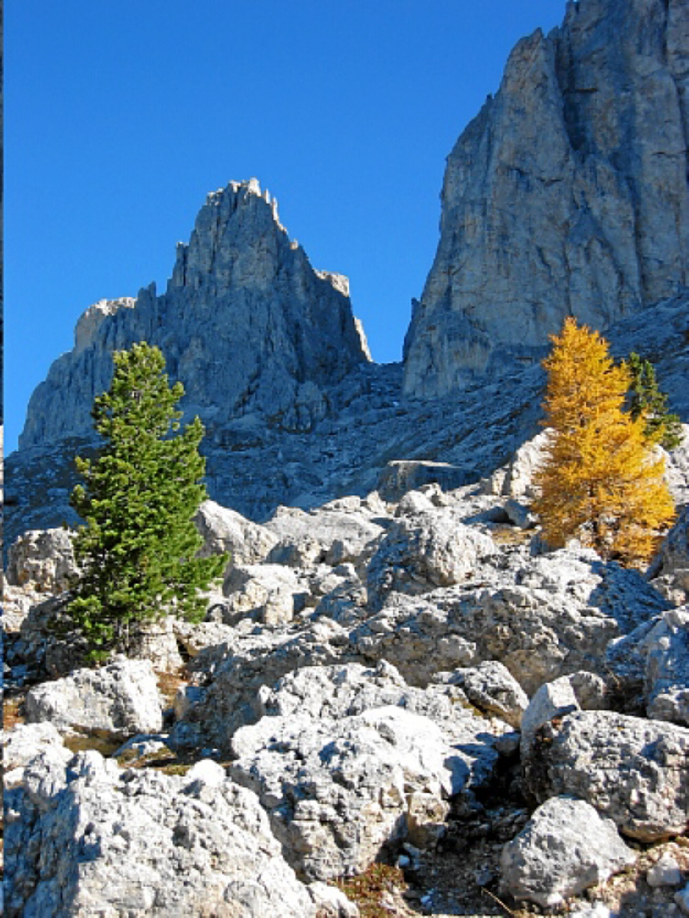 2003